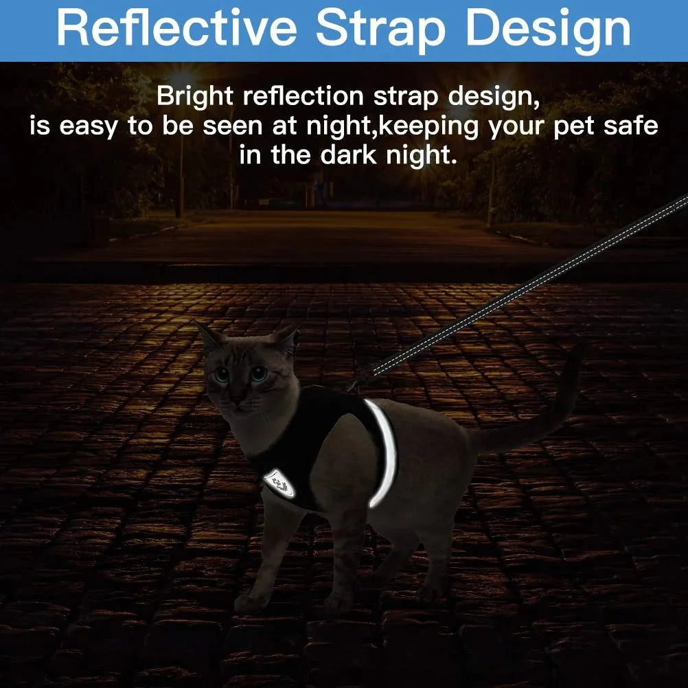 Breathable Cat Harness and Leash