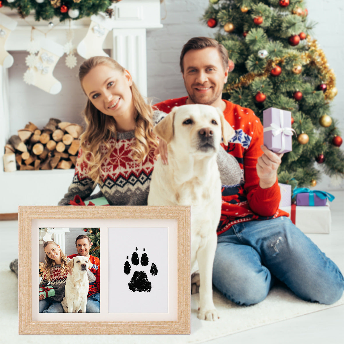 2 PCS Pet Paw Print Kits