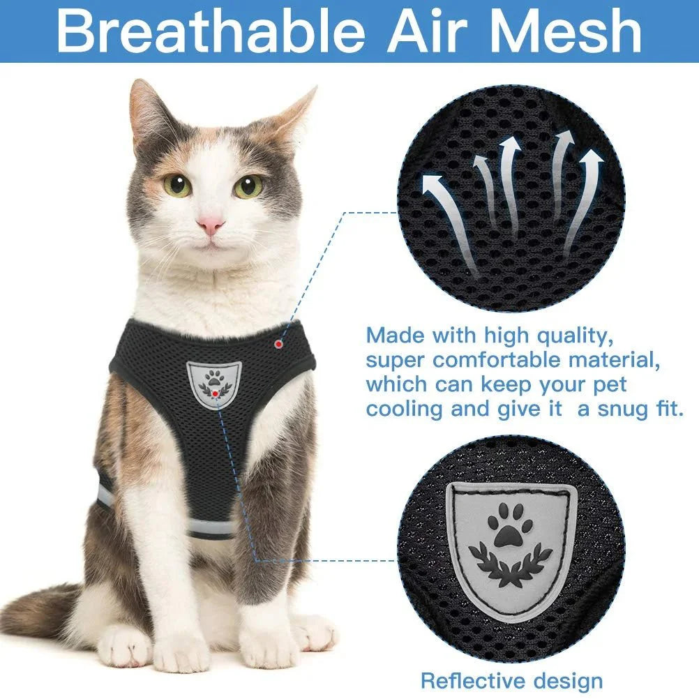 Breathable Cat Harness and Leash