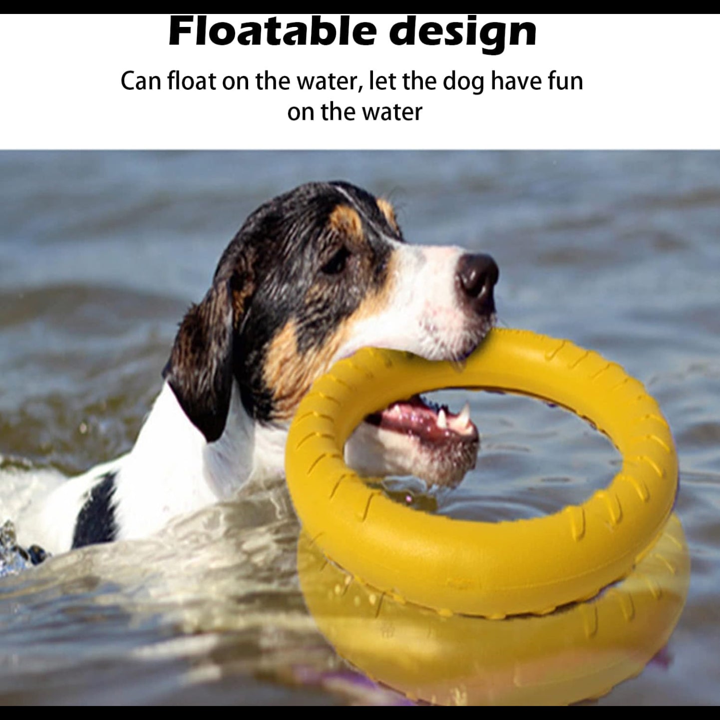 Durable Floating Ring Chew Toy for Dogs