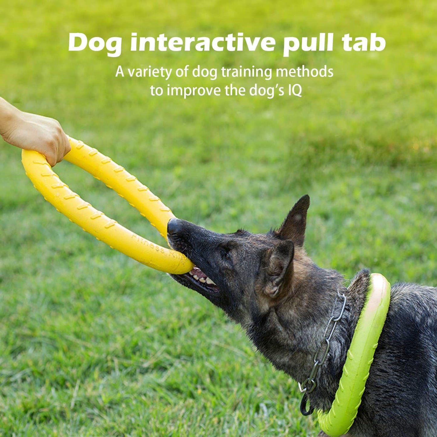 Durable Floating Ring Chew Toy for Dogs
