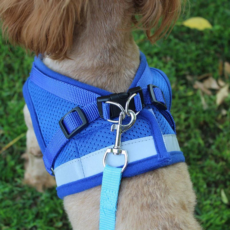 Breathable Cat Harness and Leash