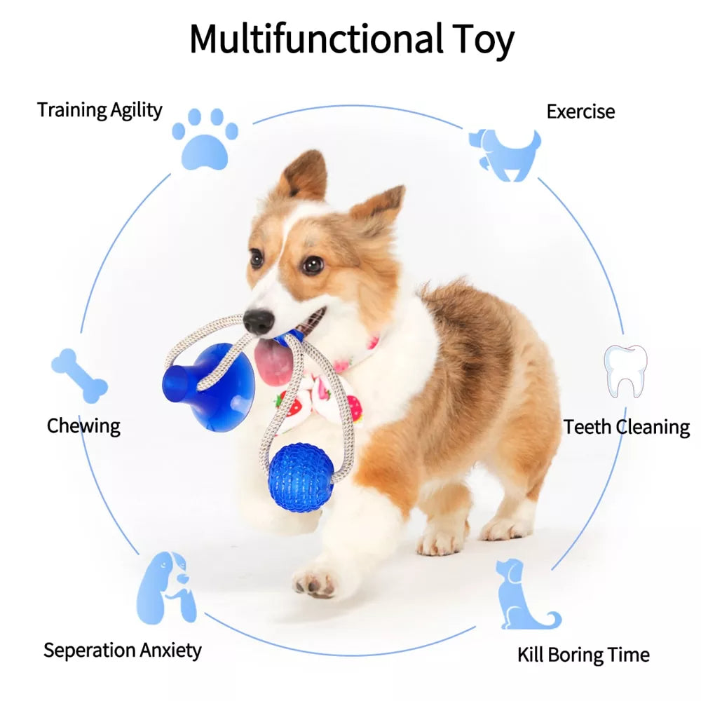 Multifunction Pet Molar Bite Toy