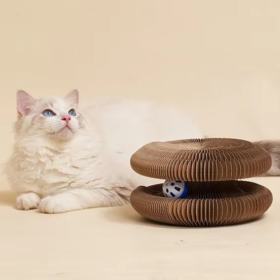 Magic Organ Cat Scratching Board