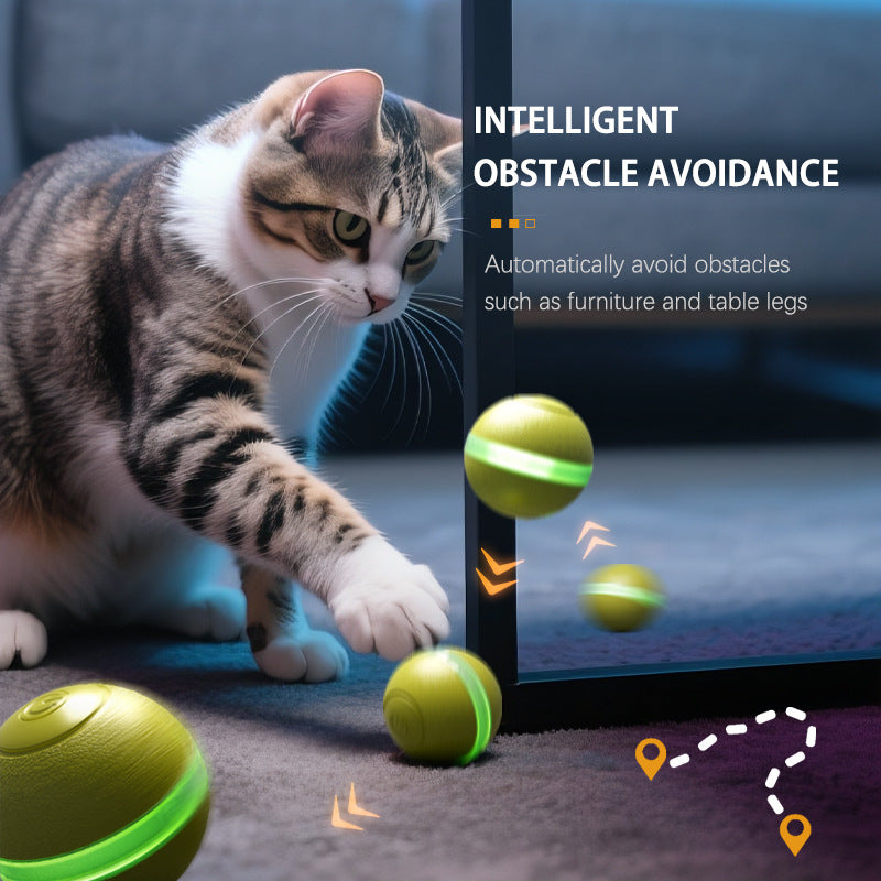 Electric Pet Toy Car