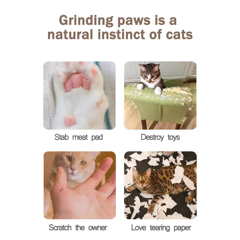 Magic Organ Cat Scratching Board