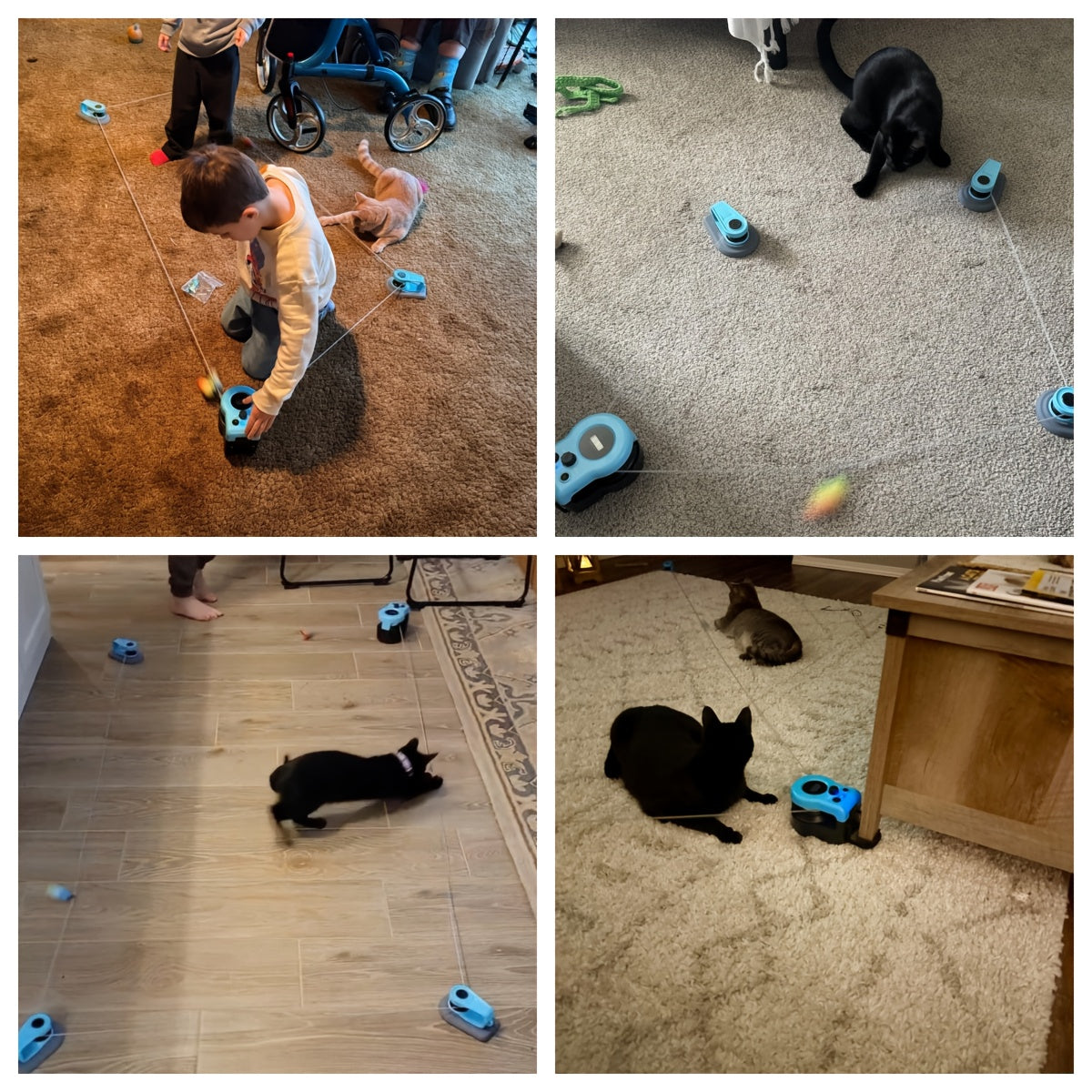 Upgraded Interactive Cat Toy for Indoor Cats