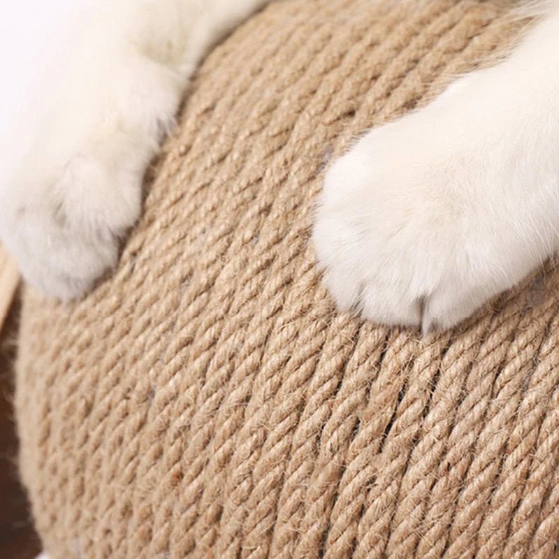 Cat Scratcher Ball