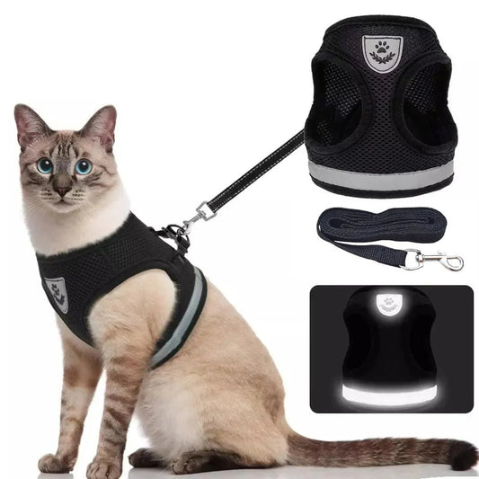 Breathable Cat Harness and Leash