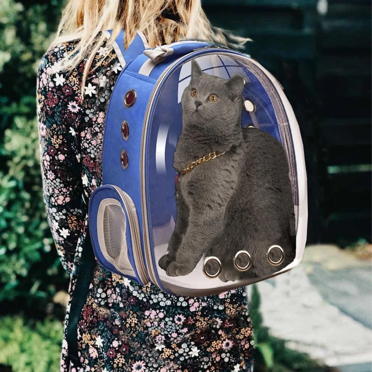 Cat Carrier