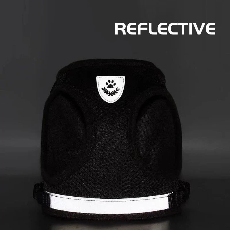 Breathable Cat Harness and Leash